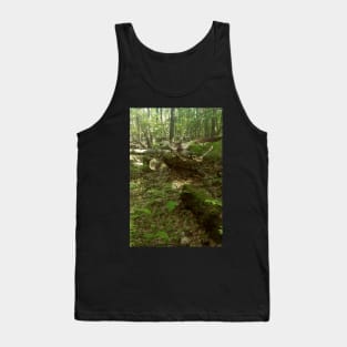 Velociraptors in Nature Tank Top